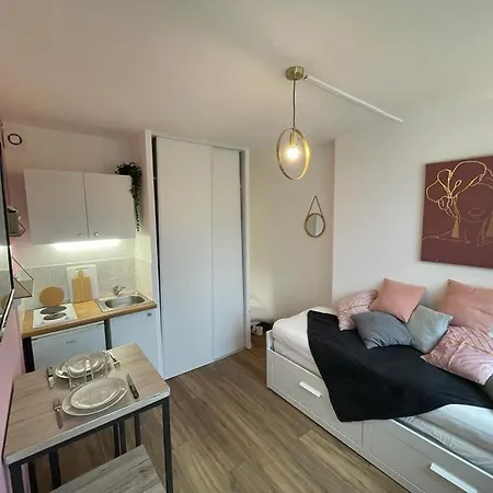 Rose, Proche Centre Apartment